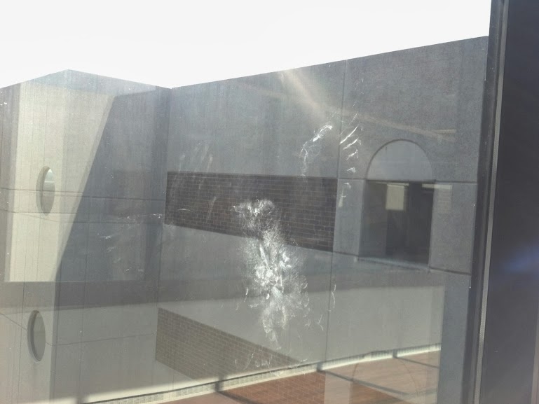 Poor bird